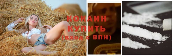 дживик Заволжск