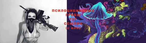 хмурый Зерноград