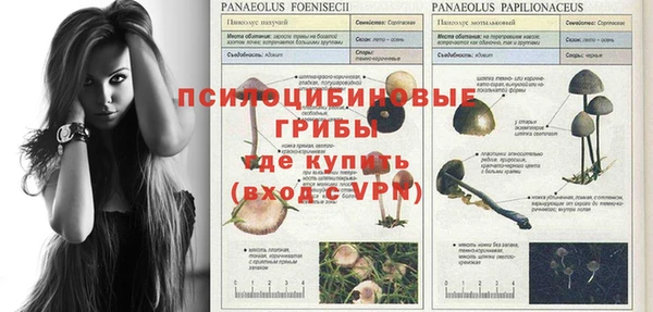 тгк Зеленокумск